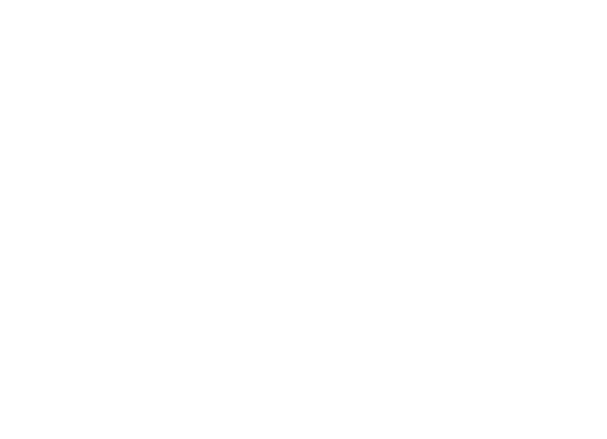 SSB Logo
